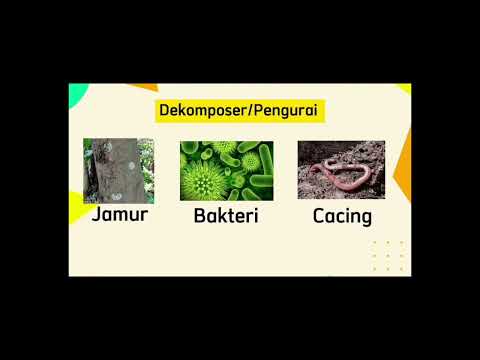 Thumbnail for Video Makhluk Hidup dan Lingkungannya KP 1 "Bimbingan" - Ekosistem Darat  by Linda Noviani