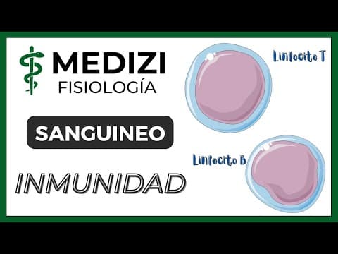 Thumbnail for Clase 34 Fisiología Sanguínea - Inmunidad (Linfocitos T y B) (IG:@doctor.paiva) by Medizi