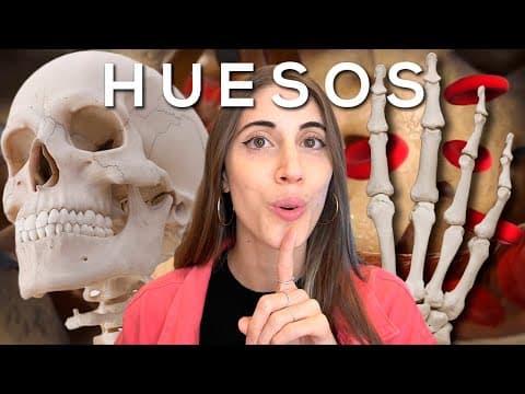 Thumbnail for Por qué tus HUESOS son MÁS INCREÍBLES de lo que CREES by La Hiperactina