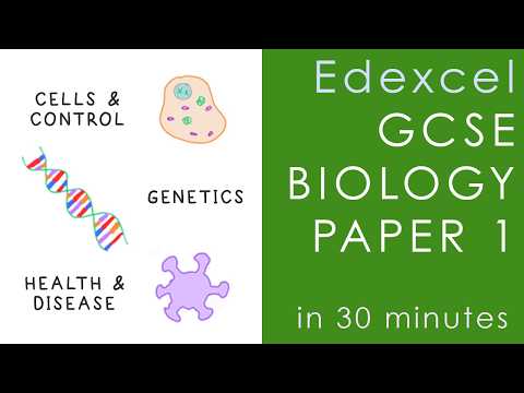 Thumbnail for All of Edexcel BIOLOGY Paper 1 in 30 minutes - GCSE Science Revision by Science Shorts