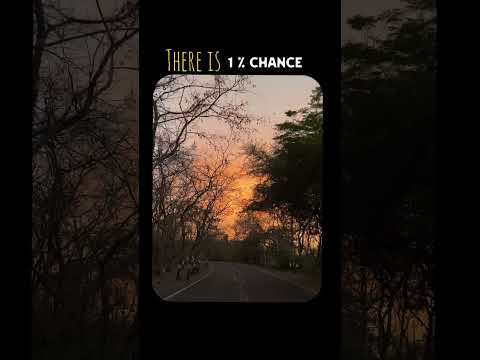 Thumbnail for There is 1 % Chance! God’s plan! Virat kohli! Motivation video! #viratkohli #trending #viralvideo by Pranav Prajapati