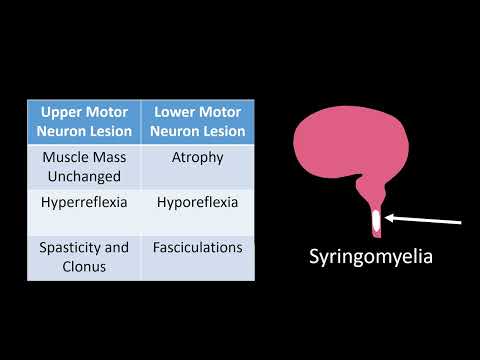 Thumbnail for Emergency Medicine Shelf | Neurology by Soccerates Medicine