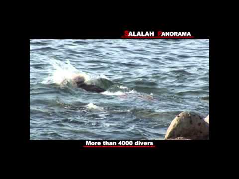 Thumbnail for abalone of oman by yousif alzeera