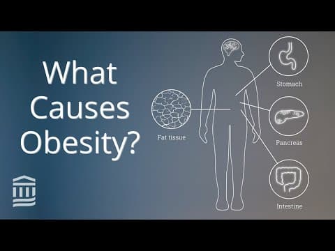 Thumbnail for Obesity: Causes, Health Conditions, and Treatment | Mass General Brigham by Mass General Brigham
