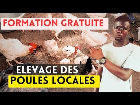 Thumbnail for Formation Gratuite: ELEVAGE DES POULES LOCALES by Africa Breeding