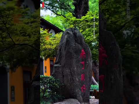 Thumbnail for 有人問佛陀，您一生修行，究竟得到了什麼？佛陀安然道，我一無所得。那人不解，既無所得，為何修行？佛陀微笑，我且告訴你，我失去了什麼。我失去了灼心的怒火，日夜的焦慮，無端的低落與惶恐。我不再困於 by camila escobar