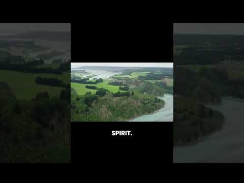 Thumbnail for Stop Worrying! Philippians 4:6 in 1 Minute #prayer #donotworry #anxiety by Daily Jesus Devotional