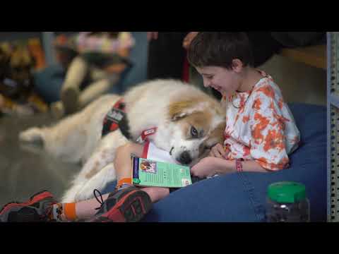 Thumbnail for Integrated Animal Assisted Education & Reading Remediation at The Calais School by The Calais School