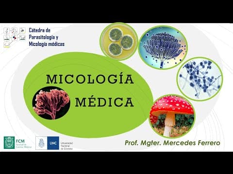 Thumbnail for MICOLOGÍA MÉDICA by Mercedes Ferrero