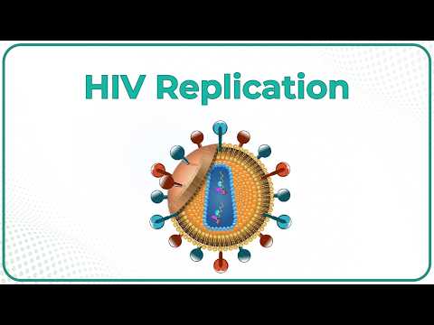 Thumbnail for HIV Replication - Microbiology Medical Animations by Dr.G Bhanu Prakash Animated Medical Videos