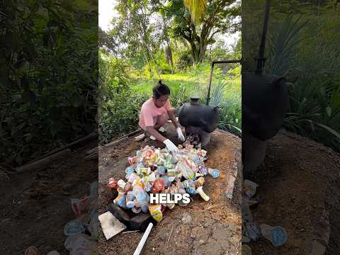 Thumbnail for Turning plastic waste into fuel by SGTV