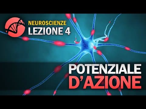 Thumbnail for Potenziale d'azione | NEUROSCIENZE - Lezione 4 by La Biologia per tutti