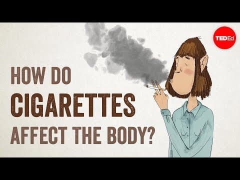 Thumbnail for How do cigarettes affect the body? - Krishna Sudhir by TED-Ed