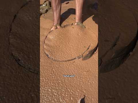 Thumbnail for كنز من تحت الطين! by Mut3ah