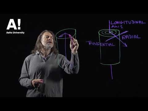 Thumbnail for Wood anatomy (3) softwood cutting planes by Aalto University - Wood Science