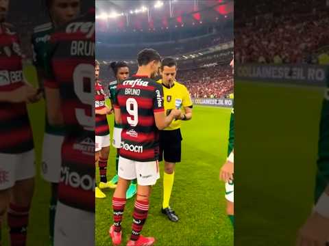 Thumbnail for PENALTI PARA O FLAMENGO!!!! #ia #pix #flamengoxpalmeiras #juizladrao #rouboflamengo #varmengo by Paysandubão