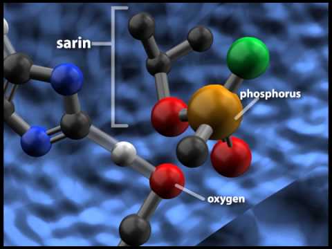 Thumbnail for Sarin Inhibiting Acetylcholinesterase by Alexandre Katos