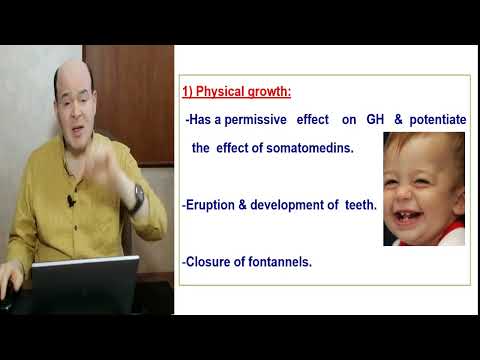 Thumbnail for Thyroid gland//Lashin Saadدد.لاشين سعد / by قناة العلوم الطبية Medical Sciences لاشين        