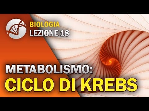 Thumbnail for BIOLOGIA - Lezione 18 - Il Ciclo di Krebs | Metabolismo Cellulare by La Biologia per tutti