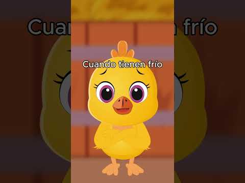 Thumbnail for Los Pollitos Dicen Pío Pío | Spanish Kids Song  #cancionesinfantiles #kidssongs #education by ¡Hey Amigos! - Bilingual Kids Songs and Activities