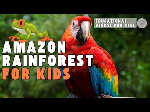 Thumbnail for Amazon Rainforest for Kids | Educational Videos for Kids | Wiz World Wonders by Knowledge Academy