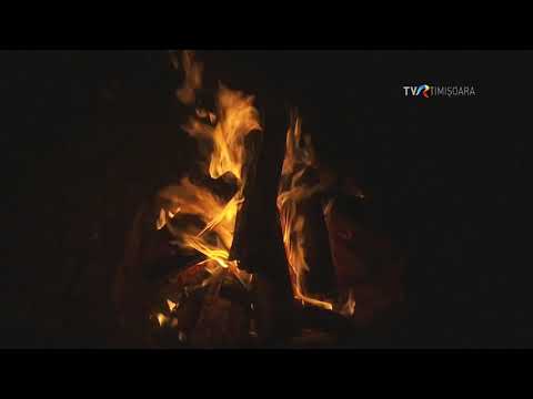 Thumbnail for Secretul cerbului și comori dacice în Țara Gugulanilor #IstoriiAscunse @TVRTM by TVR Timişoara