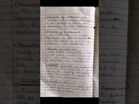 Thumbnail for Krebs Cycle #notes by Shravani Ubhad