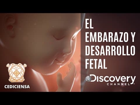 Thumbnail for Embarazo | Documental Completo Discovery by Institute of Continuing Education "Aura Natal"