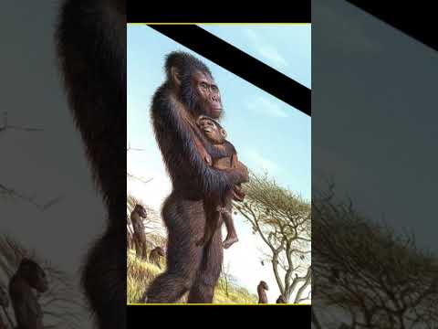 Thumbnail for #babyshorts by EB SURAJ