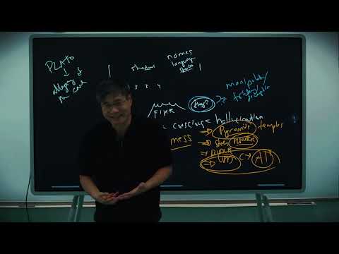 Thumbnail for Game Theory #13: Epstein's World by Predictive History