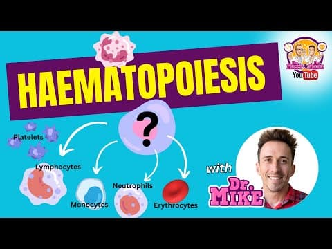 Thumbnail for Hematopoiesis | Formation of blood cells by Dr Matt & Dr Mike