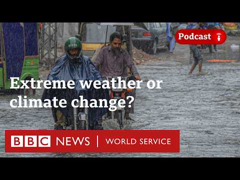 Thumbnail for Climate change or just crazy weather? The Climate Question | BBC World Service by BBC World Service