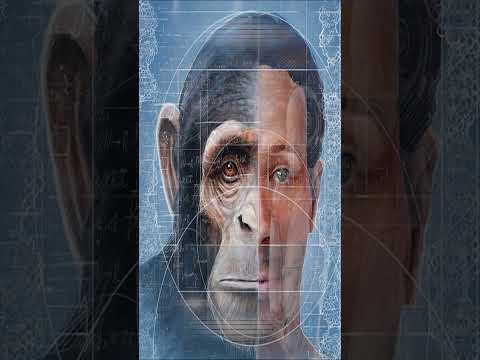 Thumbnail for #darktower #freedom by 1-800-Freedom