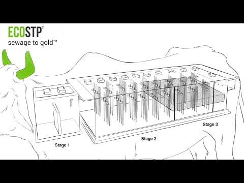 Thumbnail for ECOSTP  Animation Video by ecostp team