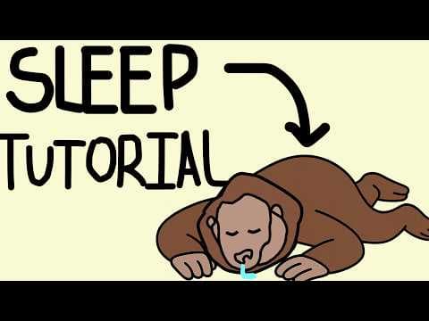 Thumbnail for 5 habits for good sleep. by monke