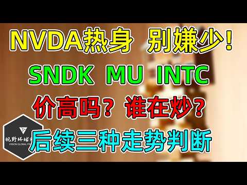 Thumbnail for 美股 NVDA热身，别嫌少！MU、SNDK高吗？谁在买？三种走势判断！ by 视野环球财经