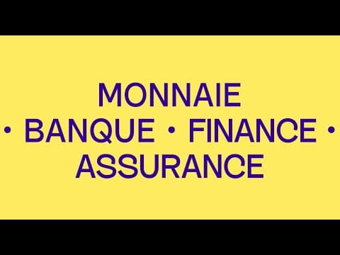Thumbnail for MASTER MONNAIE, BANQUE, FINANCE, ASSURANCE / CHARGE D'AFFAIRES PRO. ET CONSEILLER PATRIMONIAL by Université Lumière Lyon 2