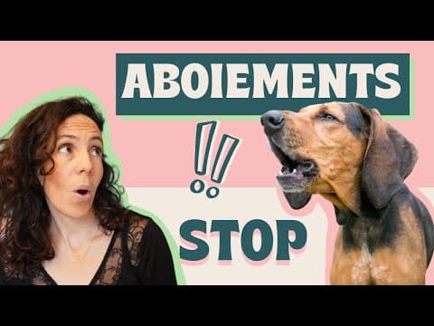 Thumbnail for Méthodes pour STOPPER les aboiements de son chien ! by Danse avec ton chien