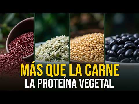 Thumbnail for 23 Granos con Más Proteína que el Filete de Carne by Secretos que Sanan
