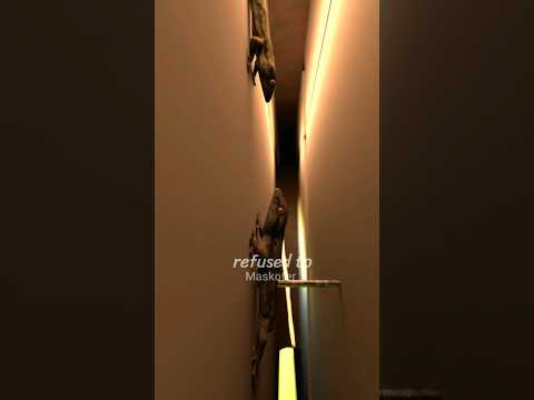 Thumbnail for The Gecko's Love Own Millions Of Hearts #Shorts by Maskofer