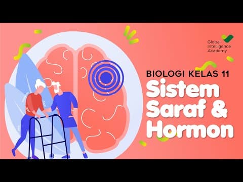 Thumbnail for BIOLOGI Kelas 11 - Sistem Koordinasi (Saraf & Hormon) | GIA Academy by GIA Academy