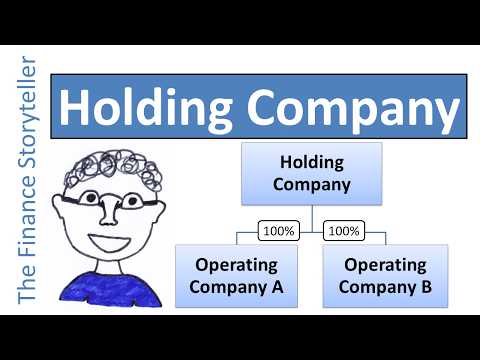 Thumbnail for Holding company explained by The Finance Storyteller