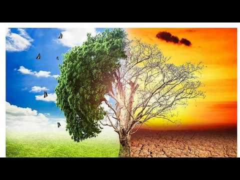 Thumbnail for ПОНЯТТЯ ПРО ЯКІСТЬ ДОВКІЛЛЯ. КРИТЕРІЇ ЗАБРУДНЕННЯ ДОВКІЛЛЯ by Vira Taran