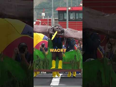 Thumbnail for Red Bull Flugtag World Record by Red Bull