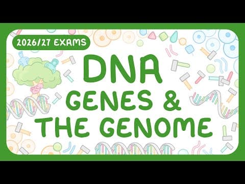 Thumbnail for GCSE Biology - DNA Part 1 | Chromosomes & Genome (2026/27 exams) by Cognito