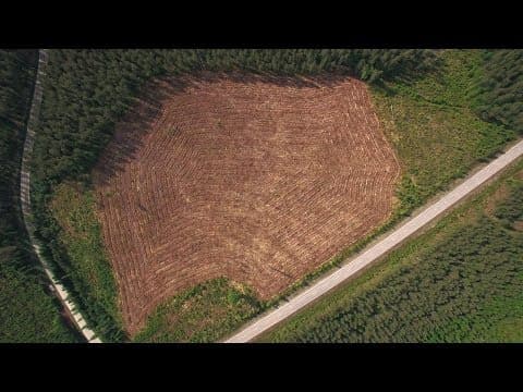 Thumbnail for Metsät 3. Suomen metsät ja niiden hyödyntäminen by Kiertotalous / Circular economy