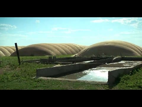 Thumbnail for Veja como investimento em biodigestores trazem economia e sustentabilidade para as fazendas by Conhecendo o Brasil Agro