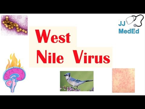 Thumbnail for West Nile Virus (West Nile Encephalitis): Pathogenesis, Symptoms, Diagnosis, and Treatment by JJ Medicine