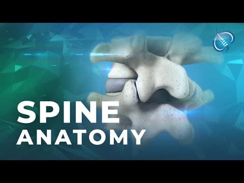 Thumbnail for Spine Anatomy | Know Your Spine by Atlantic Spine Center