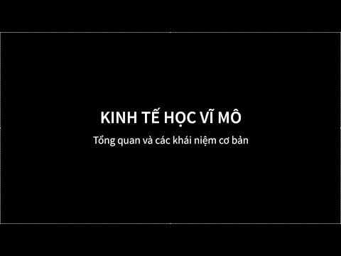 Thumbnail for Kinh tế Vĩ Mô Chương 1 - Giới thiệu về kinh tế học vĩ mô by LetQA